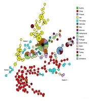 Jundishapur J Microbiol